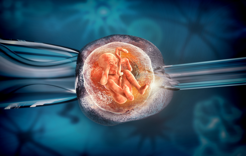 Thụ tinh trong ông nghiệm IVF