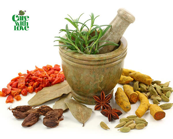 thảo mộc jamu