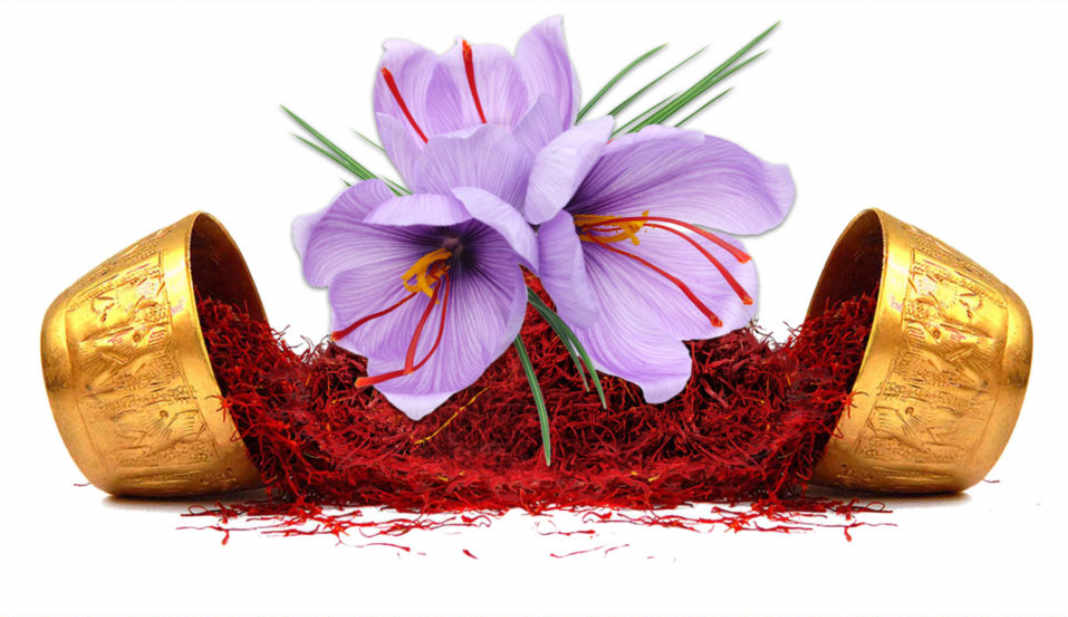 Dùng saffron như thế nào đúng cách