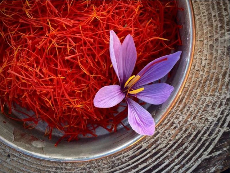 Saffron tốt cho mẹ bầu