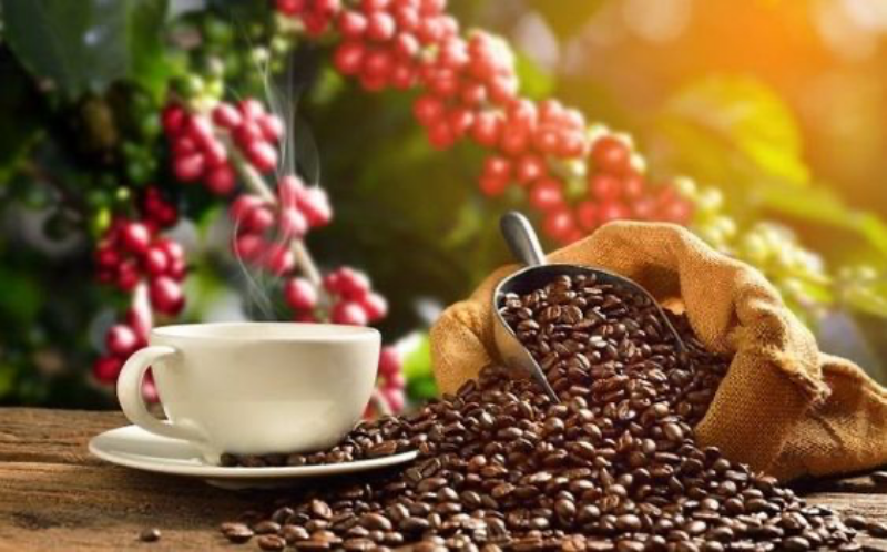 Uống cà phê hoặc các sản phẩm chứa caffeine không tốt cho mẹ bầu tháng thứ 8