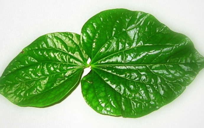 latrau