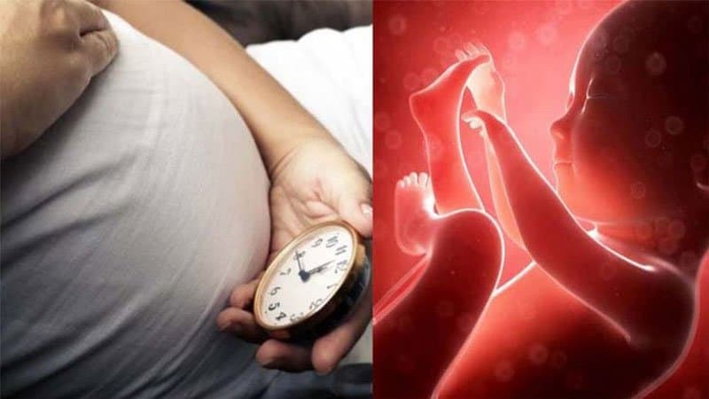 Cách đến cử động thai nhi Cách đến cử động thai nhi
