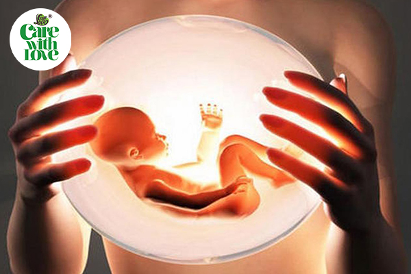 Mỗi phụ nữ có bao nhiêu trứng