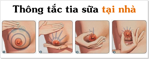 massage thông tin sữa tại nhà