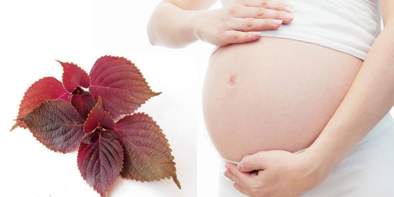 giải cảm cho bà bầu