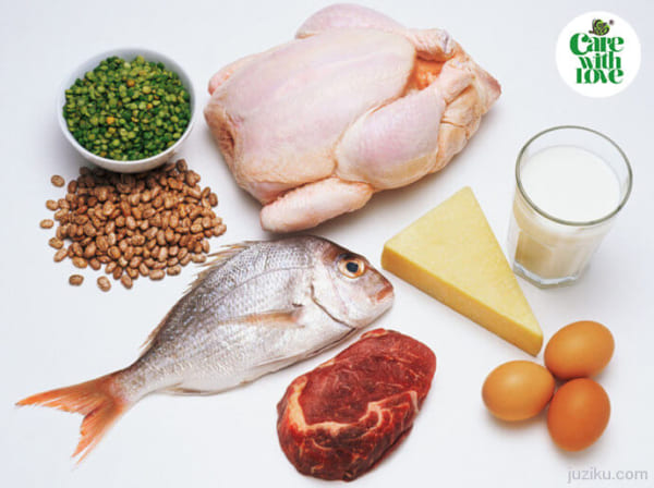 Chế độ dinh dưỡng cho mẹ bầu