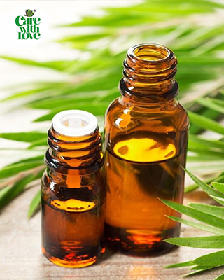 Massage bằng tinh dầu tràm