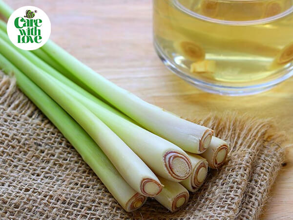 tác dụng của sả