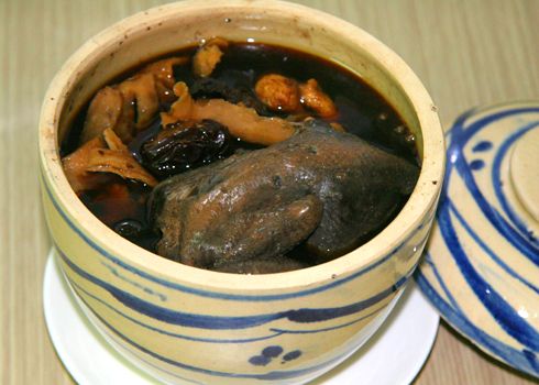 Bà bầu ăn gà các có tốt không