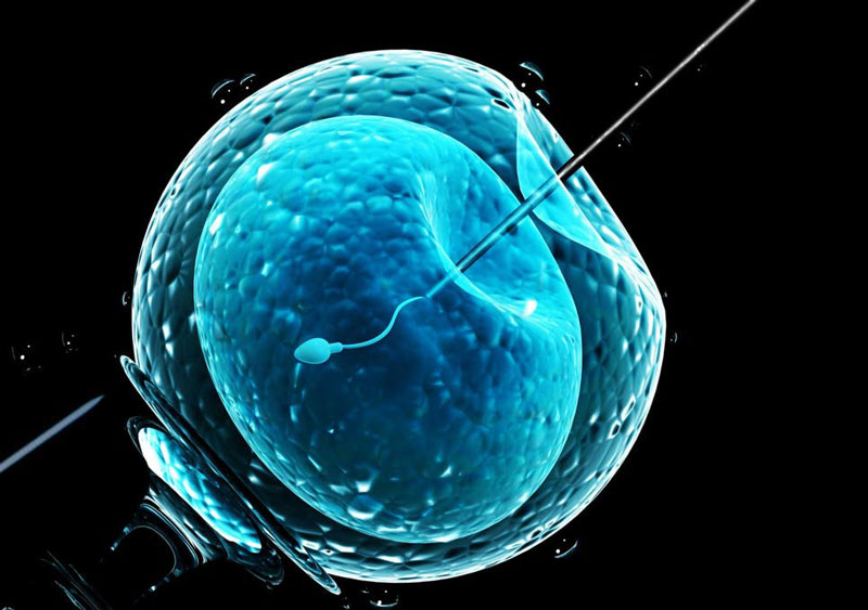 Cơ hội cho các gia đình hiến muộn bằng công nghệ thụ tinh trong ống nghiệm ivf