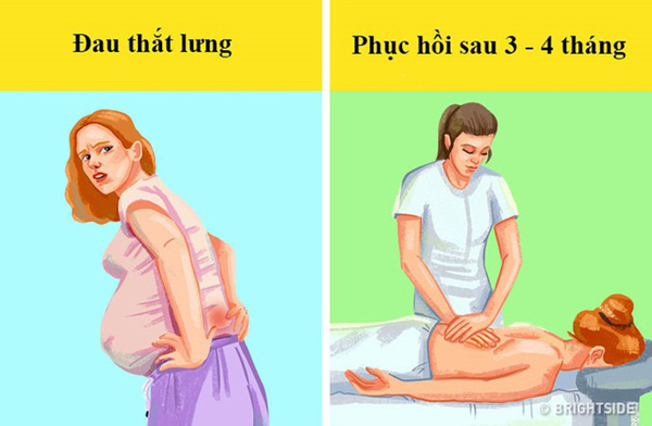 Hệ thống cơ xương
