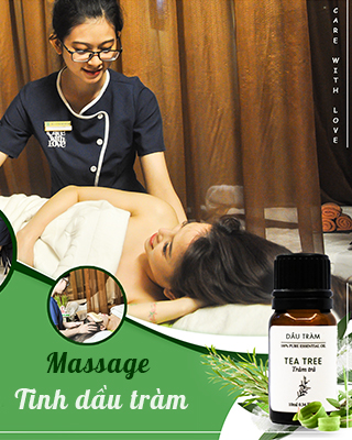 Tinh dầu tràm với nhiều công dụng tốt cho sức khỏe của mẹ
