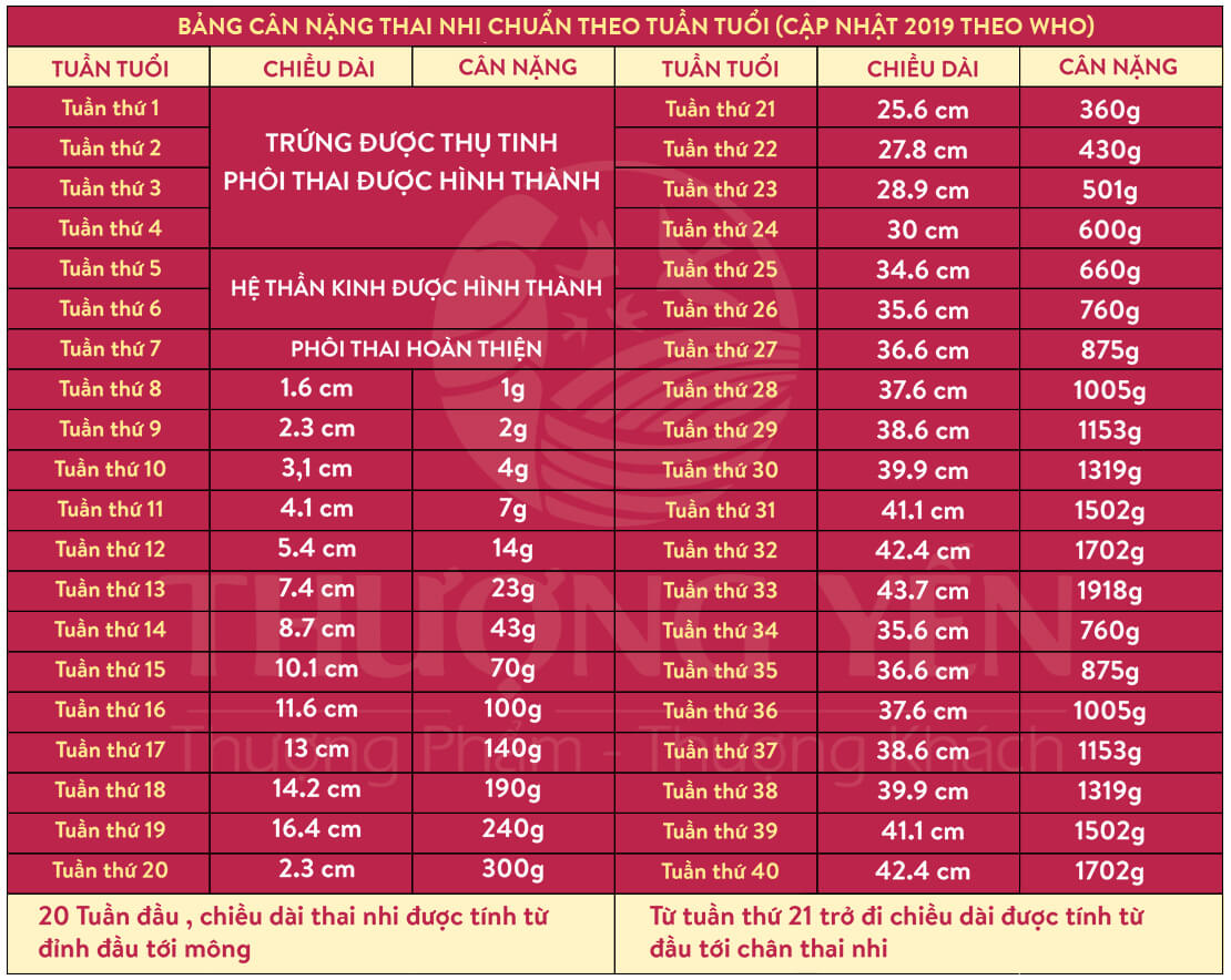 Bảng cân nặng thai nhi tiêu chuẩn
