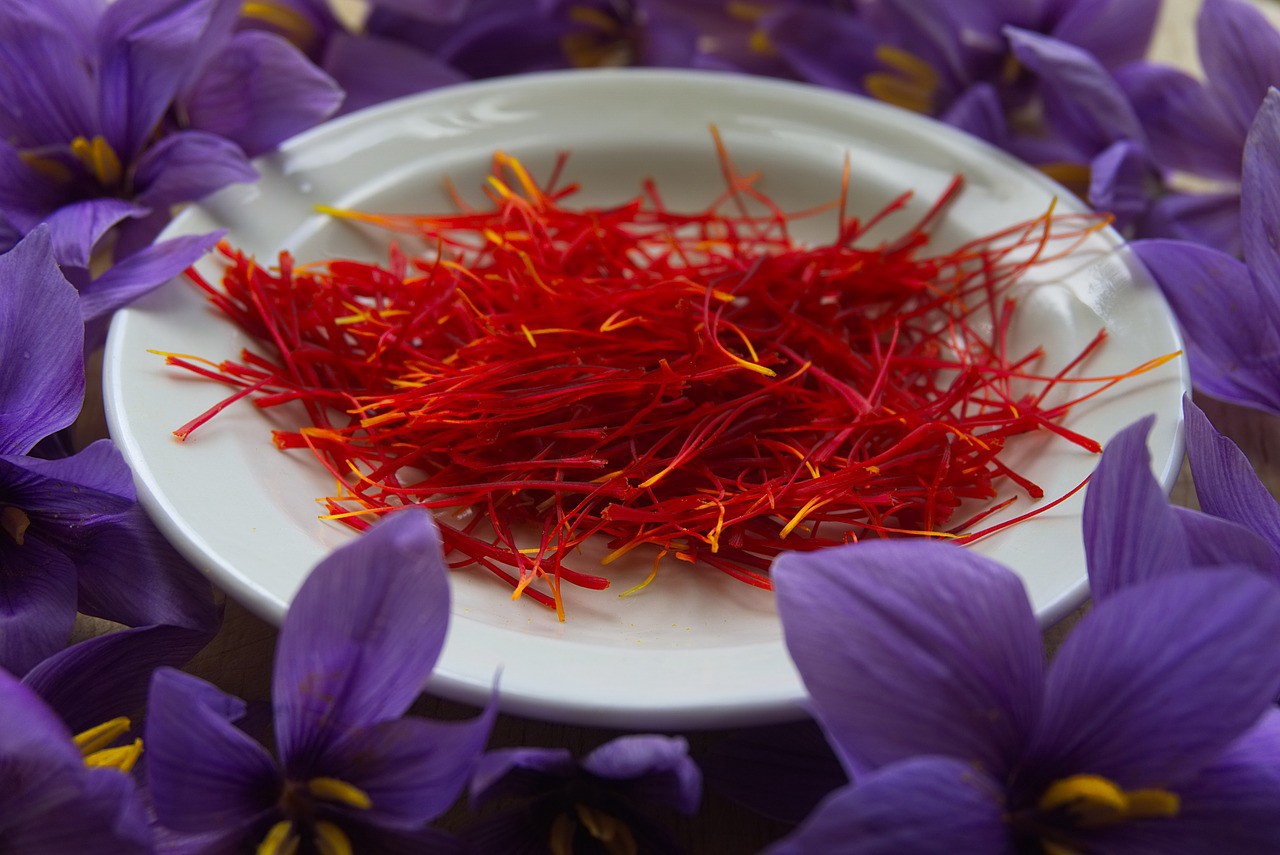 Saffron là gì
