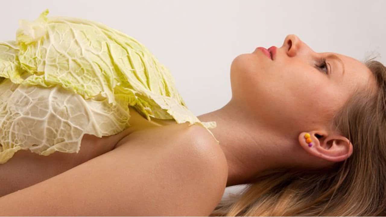 Đắp lá bắp cải giúp chữa viêm tuyến sữa